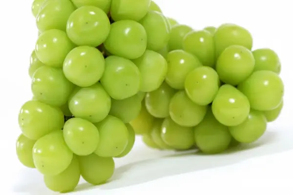 シャインマスカット